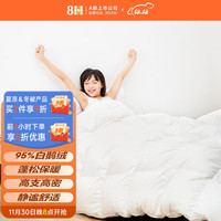 8H 抗菌95白鹅绒冬被(斜立衬版)Y3 95%大朵鹅绒 蓬松保暖 静谧舒适 本白 220*240cm