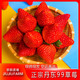 玖玖农场 丹东99草莓 中果 单果25g+ 1kg