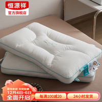 恒源祥枕头枕芯防水防油防污耐脏易清洁A类抗菌可水洗酒店家用纤维枕头 六防五区护颈枕 48*74cm