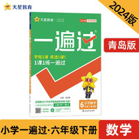 一遍过 小学 六年级下册 数学 QD（青岛）2024年 天星教育