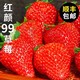 HYOJOO 新鲜  大凉山露天   红颜99草莓 2.5斤装