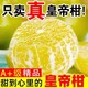 柚萝 特大果 纯甜爆甜 广西武鸣皇帝柑 9.5斤装（约38个）泡沫箱防冻 抗摔