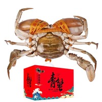 江食代 三门青蟹 大红母膏蟹 3只 1kg 礼盒装