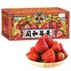 HYOJOO 大凉山露天红颜99草莓 5斤装（送货上门）