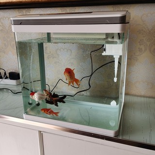 SUNSUN 森森 热弯鱼缸智能小型水族箱创意家用免换水生态玻璃桌面金鱼缸 智能鱼缸(高清玻璃)白300 灯光可变色