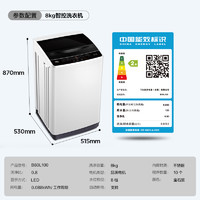 TCL 8公斤家用全自动节能出租房大容量波轮洗衣机