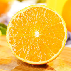 橙子微信头像图片
