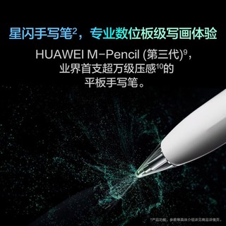HUAWEI 华为 MatePad Pro 13.2英寸平板电脑 12GB+512GB WiFi版