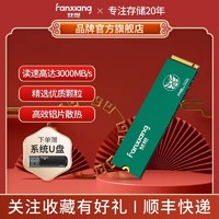 FANXIANG 梵想 S500Q NVMe M.2 固态硬盘（PCI-E3.0）512GB