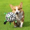Hoopet 耐咬狗狗玩具 趣味互动足球S