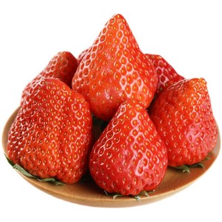 梦芷红颜99草莓新鲜水果整箱应季当季现摘奶油九九非丹东 臻选红颜99草莓 带箱五斤