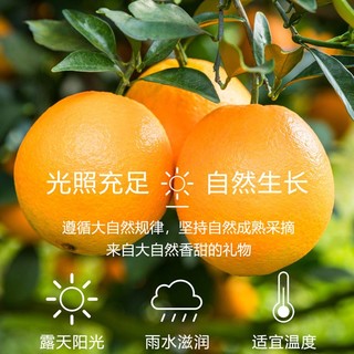 鲜咕 江西赣南脐橙4.5斤甜橙子当季新鲜水果整箱果冻橙原产地