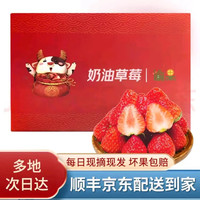 少羽现摘现发四川大凉山红颜99草莓新鲜水果非丹东红颜草莓 优选四川 红颜草莓 20粒/1盒 单果15G+