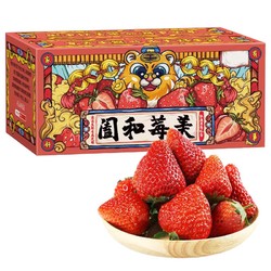 大凉山露天红颜99草莓 5斤装（送货上门）