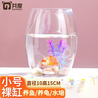 Gong Du 共度 创意桌面鱼缸 生态圆形玻璃金鱼缸乌龟缸