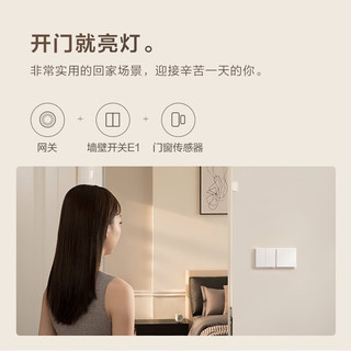 Aqara绿米智能开关E1零火双键遥控开关 已接入米家/苹果HomeKit 远山灰