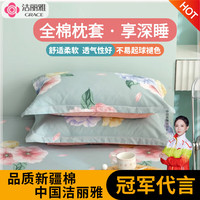GRACE 洁丽雅 枕头套纯全棉棉磨毛印花亲肤加厚柔软枕套水洗纯棉一对枕罩透气 乔安娜(绿) 48*74cm枕套一对