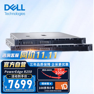 戴尔（DELL）PowerEdge R250 1U机架式服务器 文件共享ERP数据存储主机 至强E2314 4核4线程 8G丨2块2T SATA