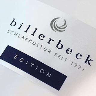 Billerbeck 羽绒被 E04 黄金版 200x200 厘米