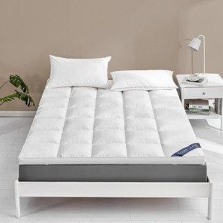 AIDLI 床褥 五星级宿舍双人床褥防滑保护垫加厚折叠褥子 白色厚5cm 90*200cm