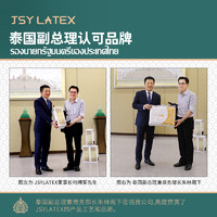 jsylatex泰国乳胶枕头天然护颈椎记忆枕芯单人护颈枕头DM设计