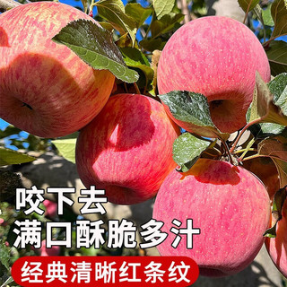 中鲜生 新果陕西洛川苹果甜脆红富士苹果水果整箱时令新鲜 净重4.5斤+