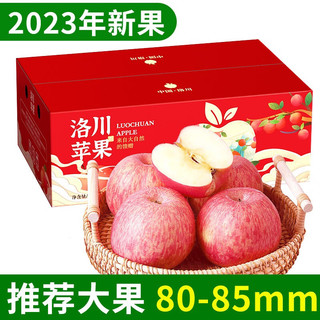 中鲜生 新果陕西洛川苹果甜脆红富士苹果水果整箱时令新鲜 净重4.5斤+