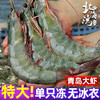 北海湾 青岛大虾 11-14cm 净重3斤