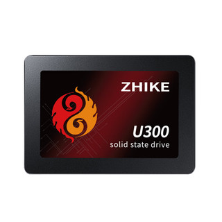 挚科（ZHIKE）U300 2TB SSD固态硬盘 SATA3 兼容台式机 笔记本