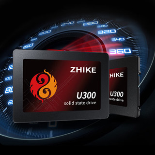 挚科（ZHIKE）U300 2TB SSD固态硬盘 SATA3 兼容台式机 笔记本