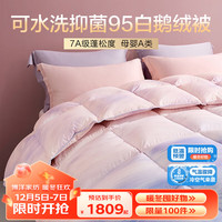 BEYOND 博洋 家纺95白鹅绒被加厚冬被抑菌羽绒被子冬季被芯填充1000g220*240cm