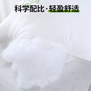 COUNT SHEEP 抗菌防螨母婴A类枕头