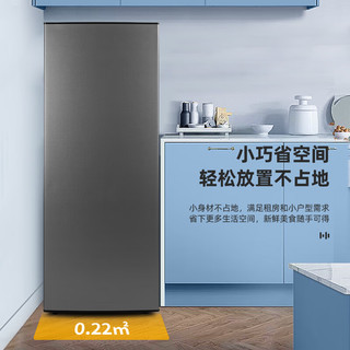BingXiong 冰熊 立式冰柜家用小型冷冻速冻母乳储存商用抽屉式小冷柜节能省电冰箱 118L暗夜灰