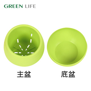 GreenLife 多肉花盆简约室内植物石丸圆花盆优质PP塑料小盆栽迷你种植盆 青草绿