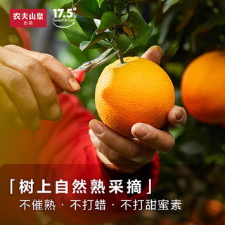农夫山泉 17.5度脐橙 新鲜水果礼盒 3.5kg装 铂金果