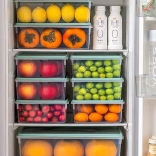 冰箱收纳盒保鲜盒食品级密封保鲜冷冻厨房水果蔬菜鸡蛋储物盒 4L