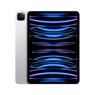 Apple【教育优惠】 iPad Pro 11英寸 2022年款(2TB WLAN版/M2芯片/学习办公娱乐游戏//MNXN3CH/A) 银色