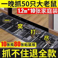 佰事净 老鼠一窝端神器老鼠贴超强力粘鼠板灭鼠强家用捕鼠器沾黏鼠板魔毯 1.2m粘鼠板魔毯-灭鼠神器10张装