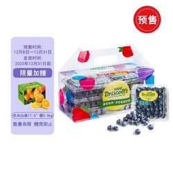 怡颗莓 云南蓝莓6盒+农夫山泉17.5度橙3.5kg