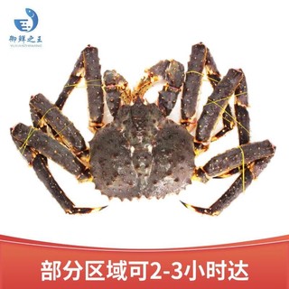 御鲜之王 鲜活帝王蟹1900-2050g/只 螃蟹生鲜 海鲜水产长脚蟹