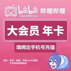 嗶哩嗶哩大會員 12個月B站