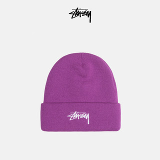 STUSSY  经典logo刺绣翻边针织帽 23冬季 GRL绿色 F