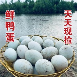 晟丹 生鸭蛋现捡现发绿壳红黄湖北梦鸭特产大鸭蛋新鲜