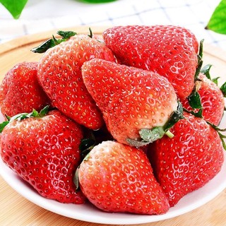梦芷 红颜99草莓新鲜水果现摘奶油九九非丹6斤