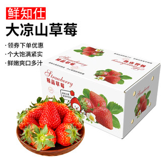 鲜知仕 四川大凉山草莓 新鲜红颜草莓 现摘应季新鲜时令水果 小果4斤装单果13-20克