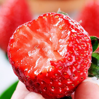 鲜知仕 四川大凉山草莓 新鲜红颜草莓 现摘应季新鲜时令水果 小果4斤装单果13-20克