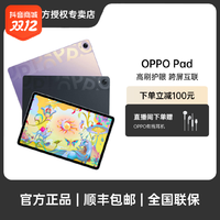 OPPO Pad 11英寸 120Hz高刷护眼屏 娱乐游戏学习教育办公平板电脑