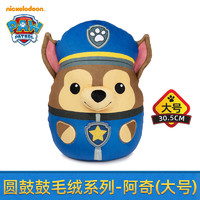 汪汪队立大功（PAW PATROL）汪汪队玩具毛绒可爱狗狗玩偶公仔男女孩 30.5cm圆鼓鼓毛绒-阿奇