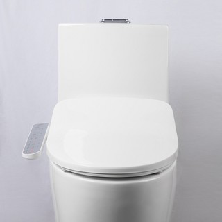 iZENBIDET 韩国爱真智能马桶盖izen通便F20电动加热座圈f19升级D200R坐便盖 通便升级款F20-官配版