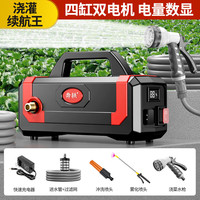 奔轶充电式抽水泵浇菜浇水机菜地浇水家用浇菜灌溉户外抽水机 浇灌续航王10节5C动力电池 5米出水管